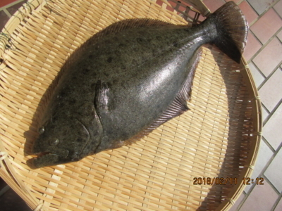 f:id:choshimarina:20180211121252j:image:w360