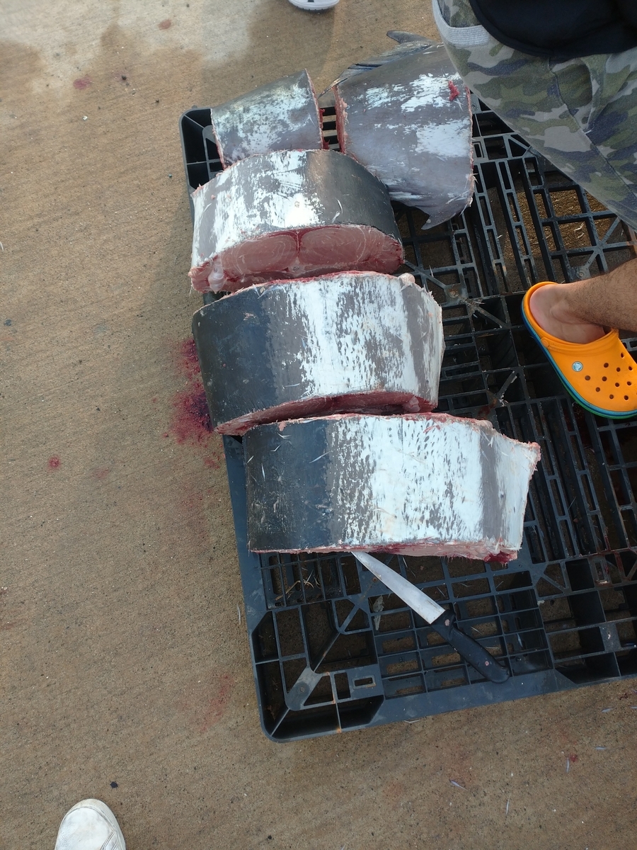 f:id:choshimarina:20200810170737j:plain