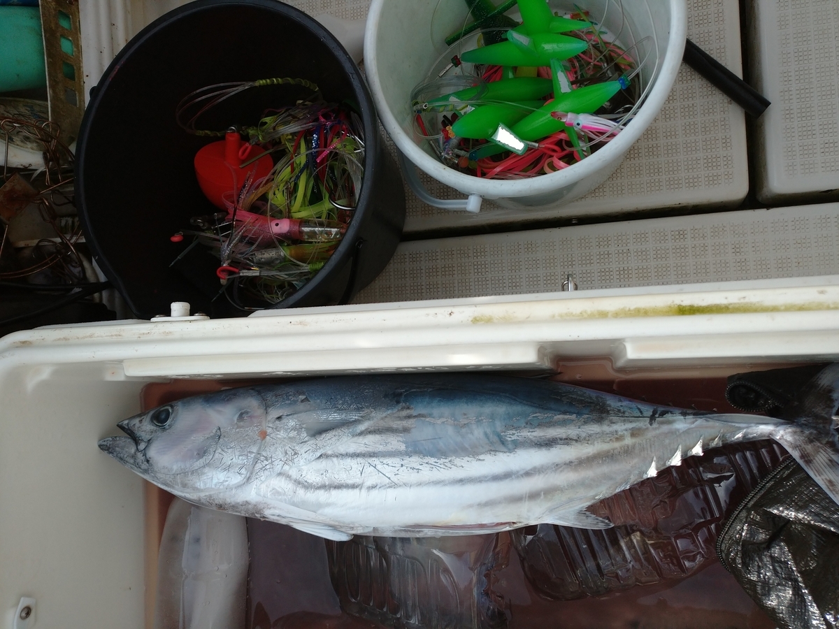f:id:choshimarina:20200917152322j:plain