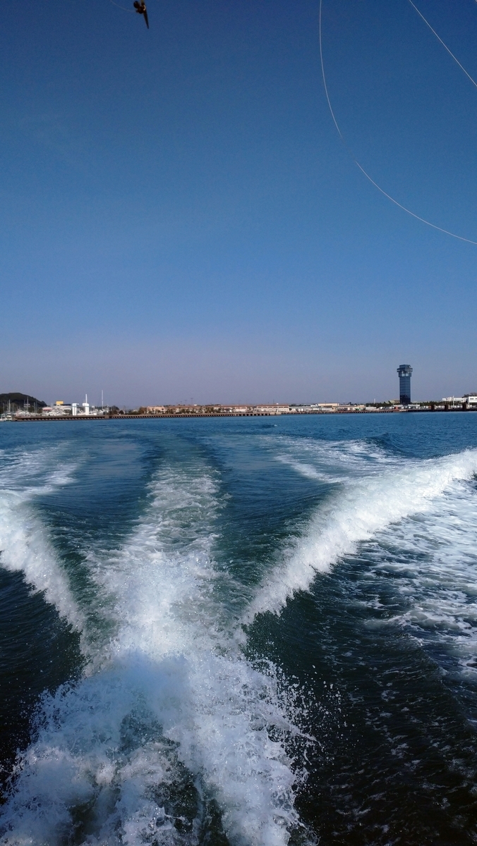 f:id:choshimarina:20210327092821j:plain