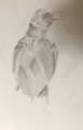 20191205233357