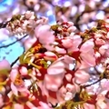 20200405122052