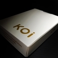 Koi Playing Cards V2