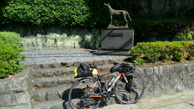 f:id:chotkura:20190420071512j:plain