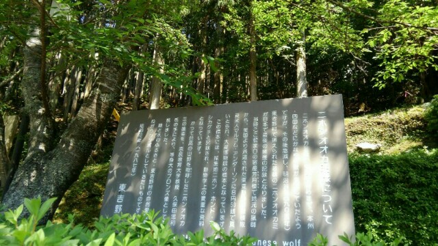 f:id:chotkura:20190420071530j:plain