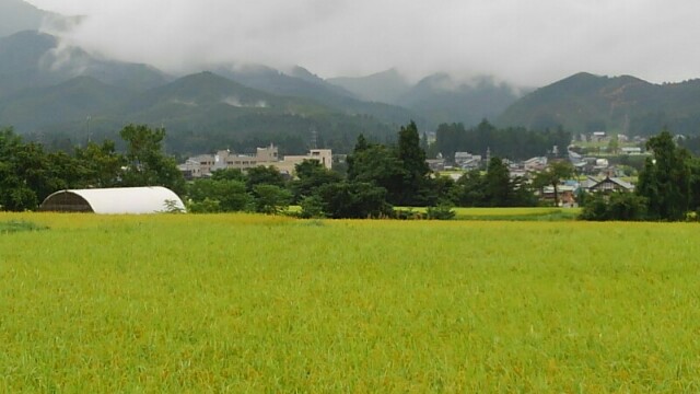 f:id:chotkura:20190610003557j:plain