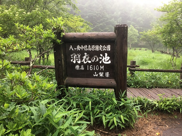 f:id:chototu:20180710211949j:plain