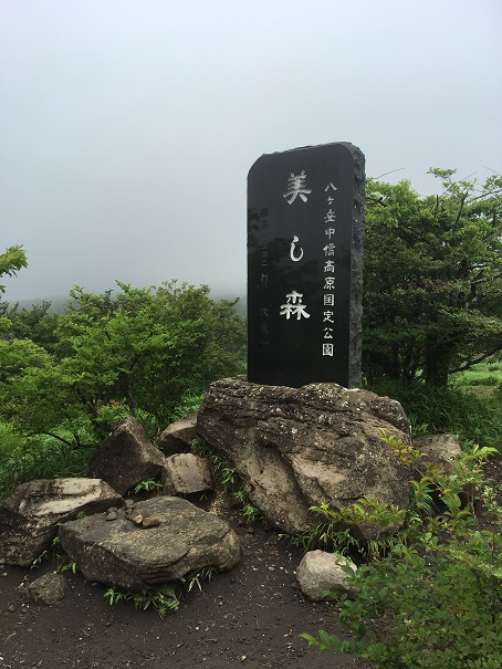 f:id:chototu:20180710212032j:plain