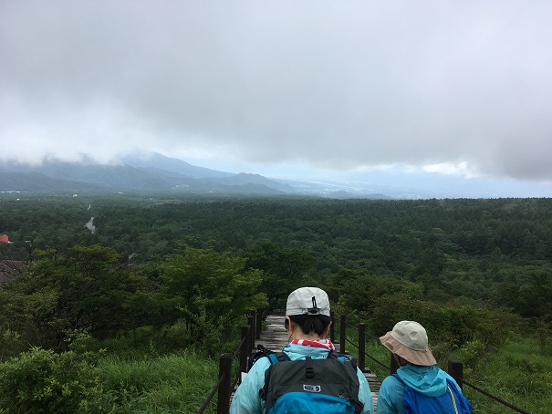 f:id:chototu:20180710212137j:plain