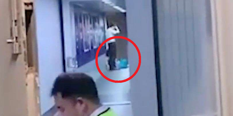 動画 娘が買い物してる途中でしょうが 母親が飛行機を足止め 中国 世界一賢い犬