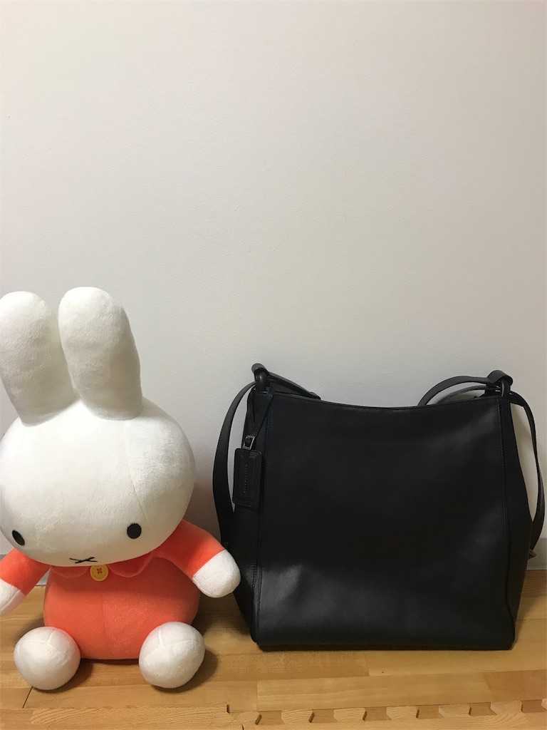 f:id:chottomush:20180118143740j:image