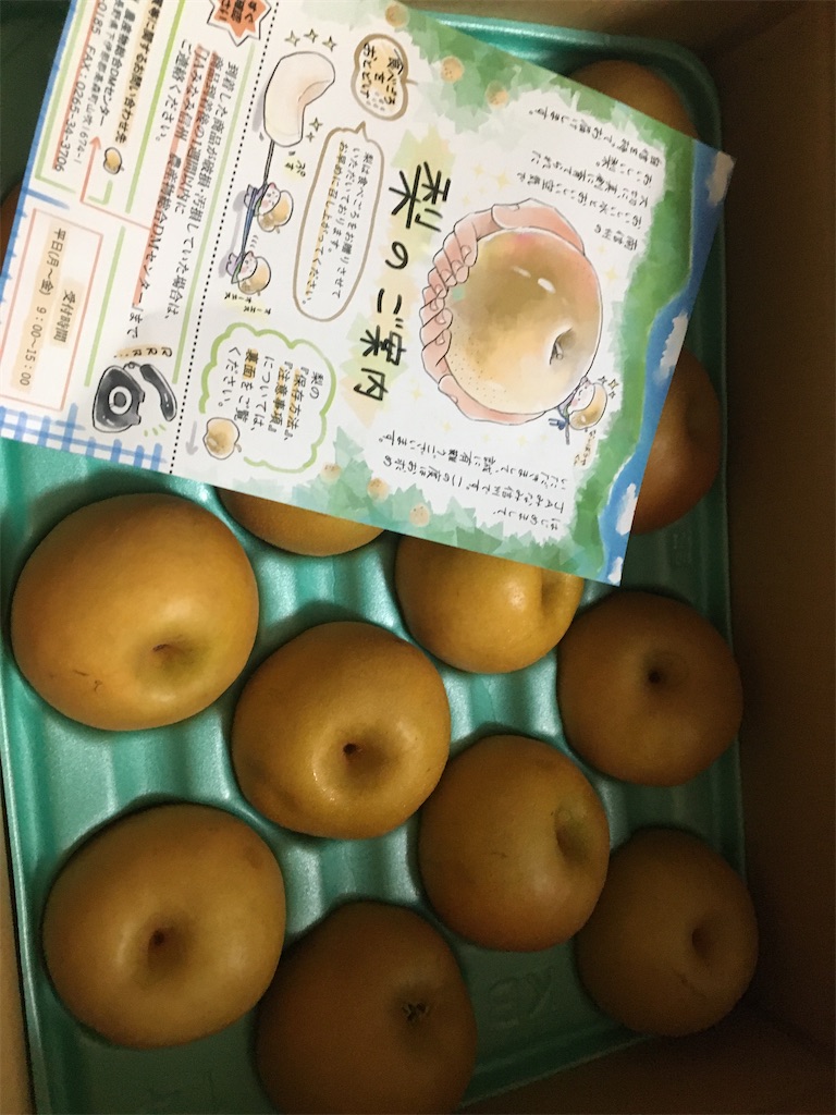 f:id:chouchou03:20200926164408j:plain