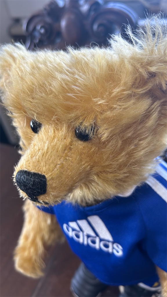 adidas×Steiff 2002日韓サッカーワールドカップ限定1500 - chouchou