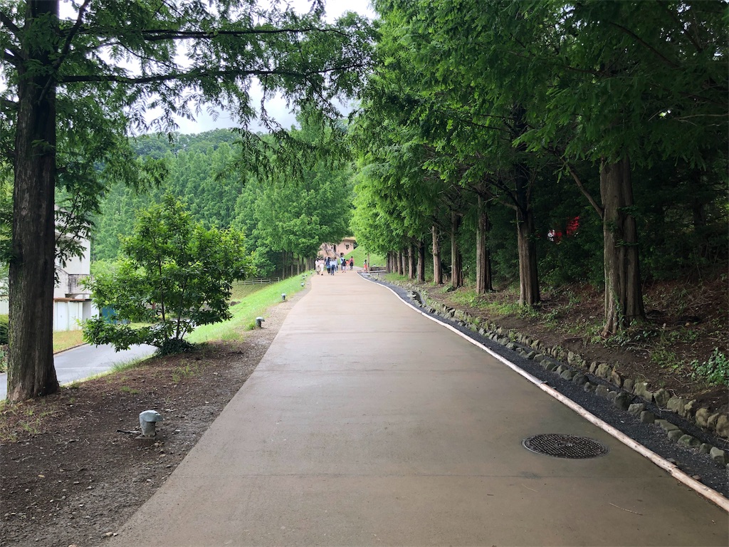 f:id:chouchoutrip:20190613205247j:image f:id:chouchoutrip:20190613205247j:image