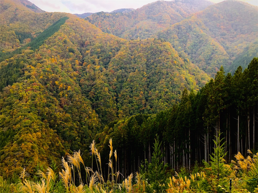 f:id:chouchoutrip:20191108130050j:image f:id:chouchoutrip:20191108130050j:image