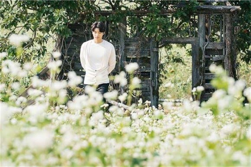 f:id:chouchoutrip:20200827115646j:image f:id:chouchoutrip:20200827115646j:image