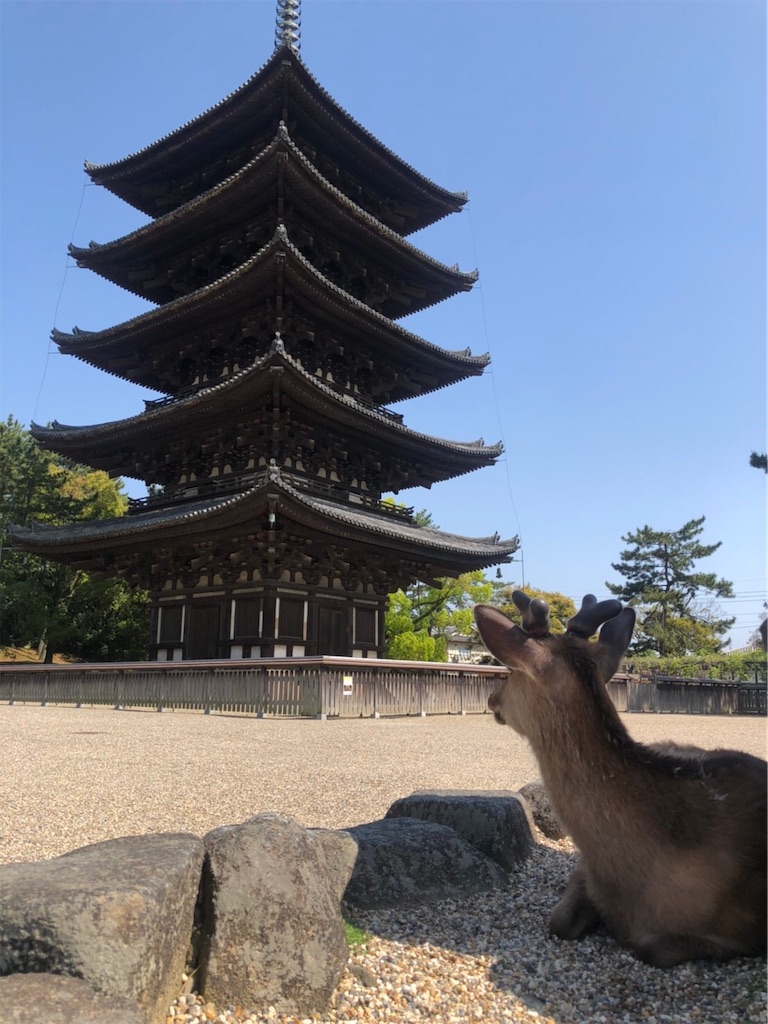 f:id:chouchoutrip:20210523144319j:image f:id:chouchoutrip:20210523144319j:image