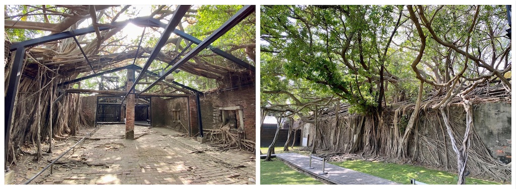 f:id:chouchoutrip:20240413204558j:image