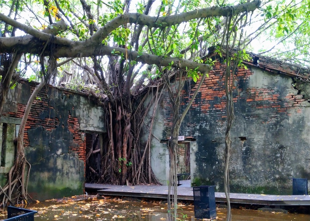 f:id:chouchoutrip:20240413204727j:image