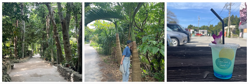 f:id:chouchoutrip:20250426010737j:image