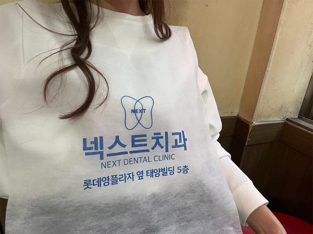 f:id:chouchoutrip:20260120081326j:image