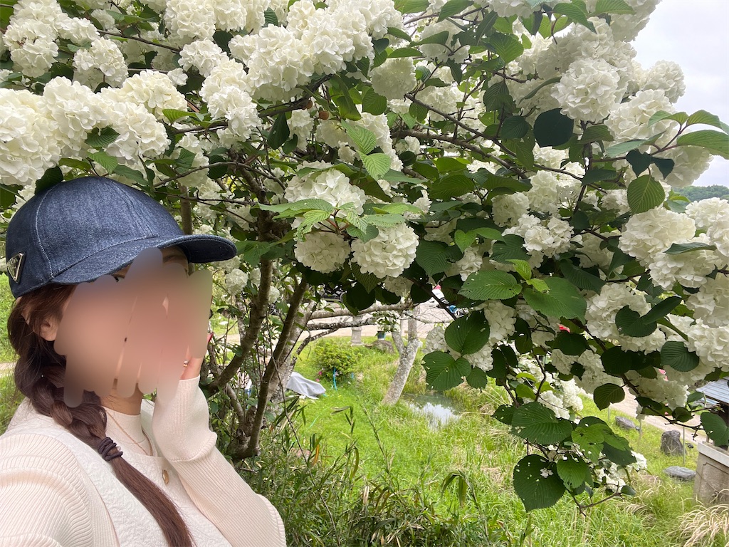 f:id:chouchoutrip:20260507221243j:image