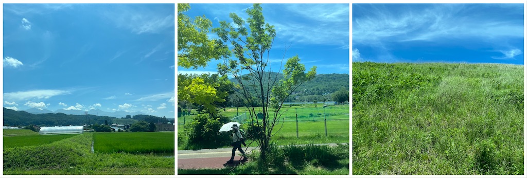 f:id:chouchoutrip:20260801081650j:image f:id:chouchoutrip:20260801081650j:image