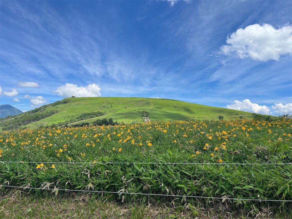 f:id:chouchoutrip:20260824180627j:image f:id:chouchoutrip:20260824180627j:image