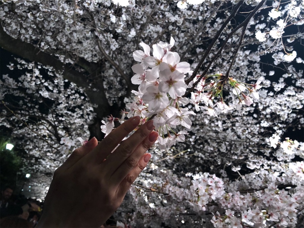 f:id:choudoiisaizu:20190329091207j:image