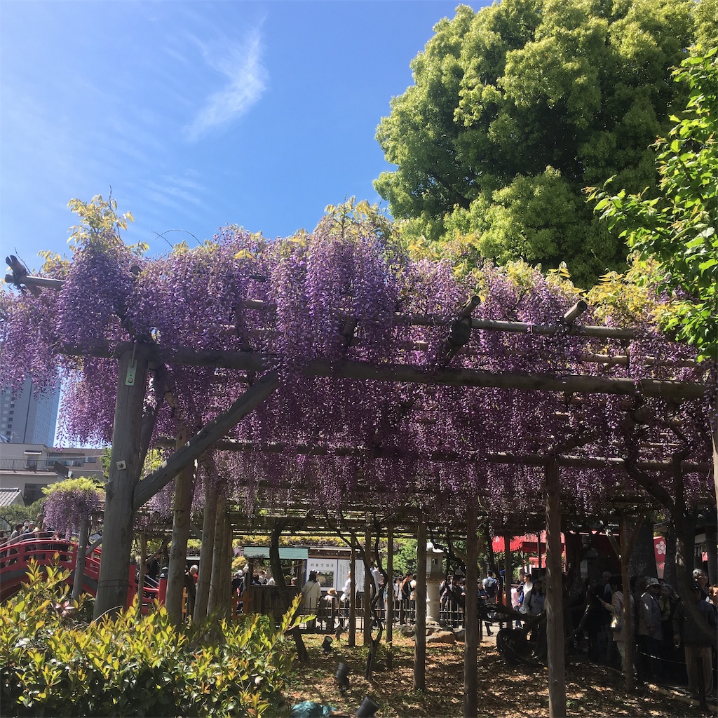 f:id:choudoiisaizu:20190429032555j:image
