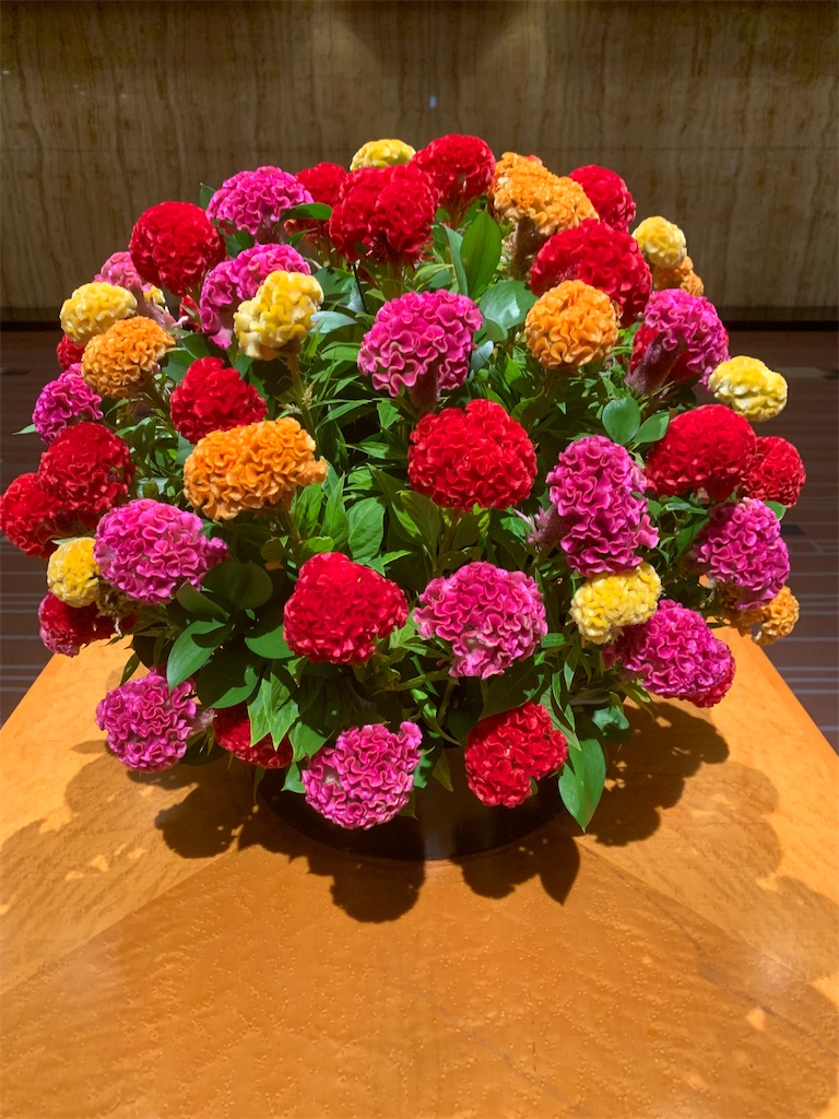 f:id:choudoiisaizu:20220926083145j:image f:id:choudoiisaizu:20220926083145j:image