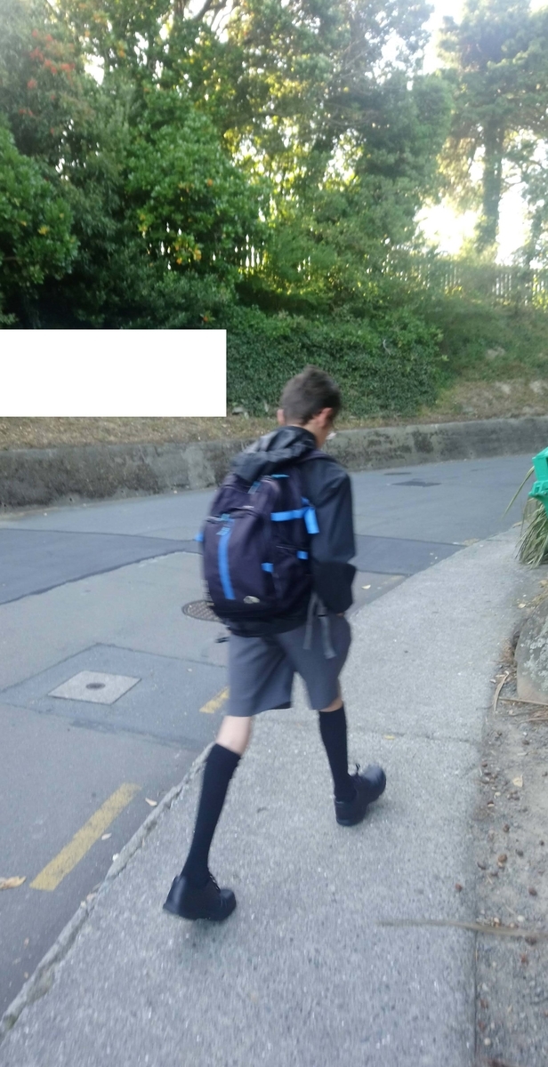 f:id:choukoureimamanz:20210206162333j:plain