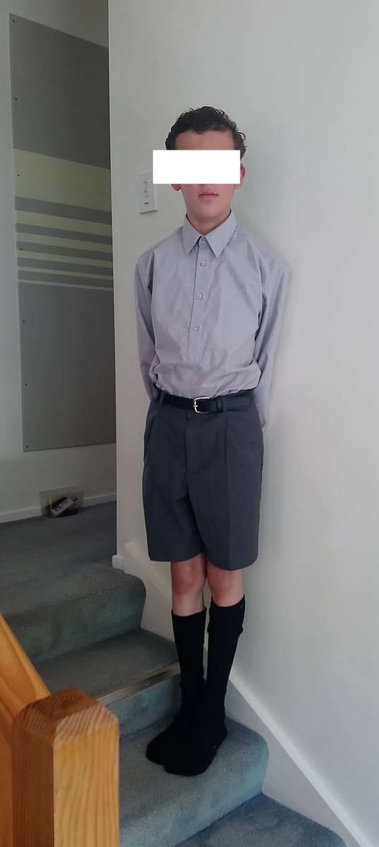 f:id:choukoureimamanz:20210206162342j:plain