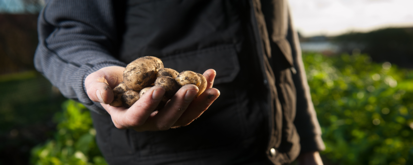 f:id:chousiteki:20161118190539p:plain