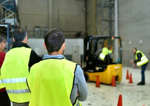 Inside SG’s Forklift Training Failure Crisis