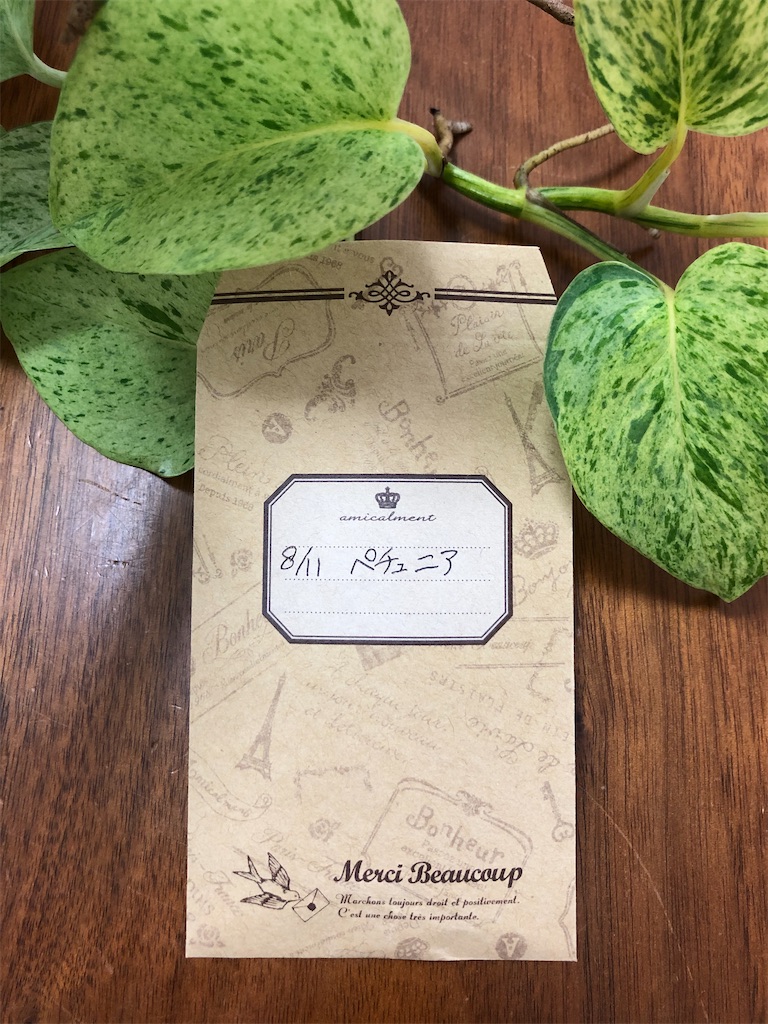 f:id:christmas_rose_2019:20210811202626j:plain