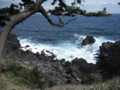 20090323105125