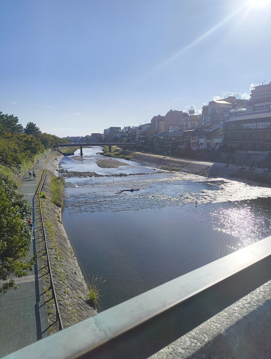 偶然だが、先週末は夏のように川面が光る鴨川にいた。