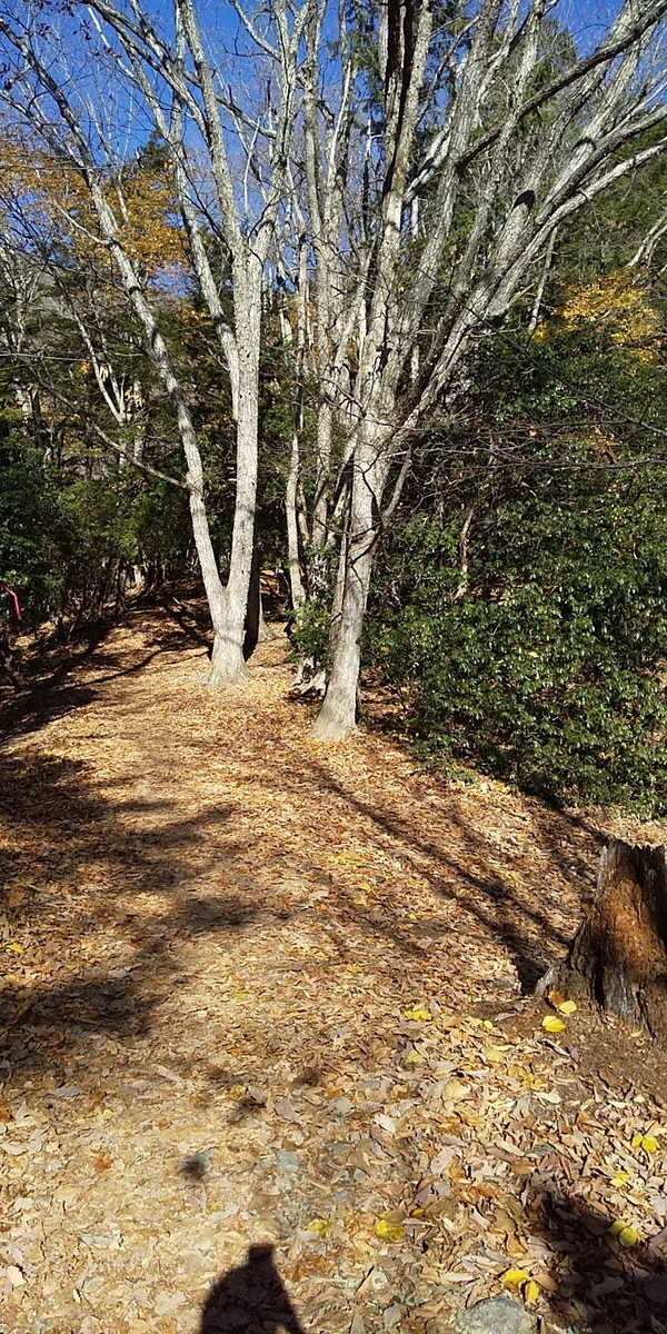 f:id:chronosdeer:20201121000421j:plain