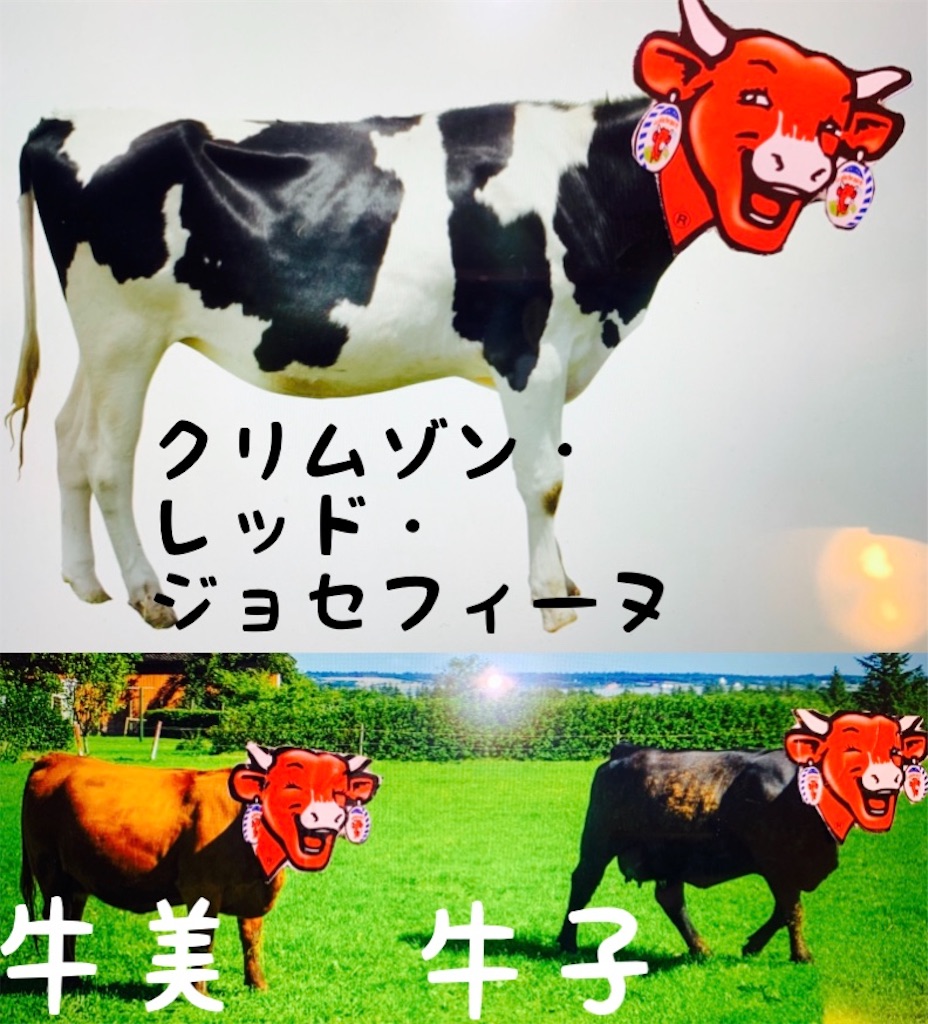 f:id:chu_ron:20190407200601j:image f:id:chu_ron:20190407200601j:image