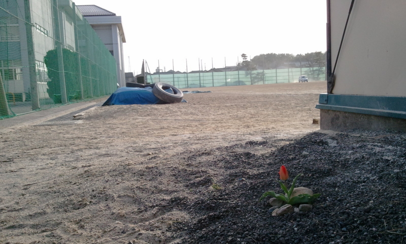 f:id:chuchus:20110417165356j:image f:id:chuchus:20110417165356j:image