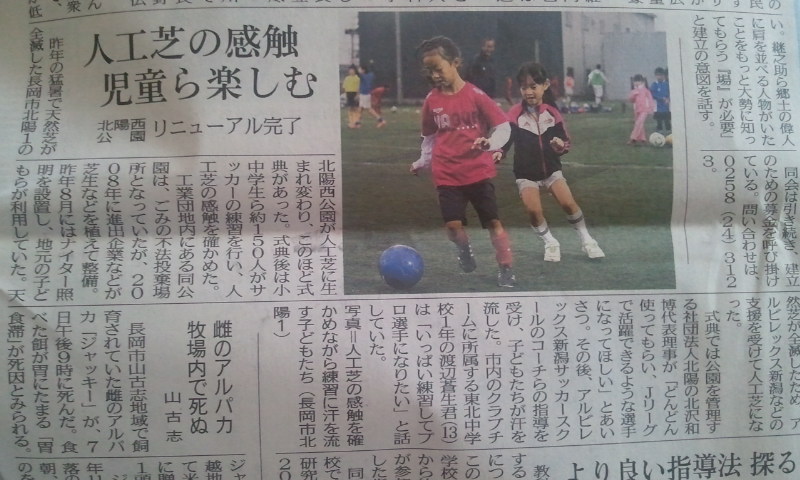 f:id:chuchus:20111110100131j:image f:id:chuchus:20111110100131j:image
