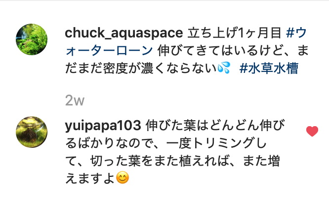 f:id:chuck0523:20191005115818p:plain f:id:chuck0523:20191005115818p:plain