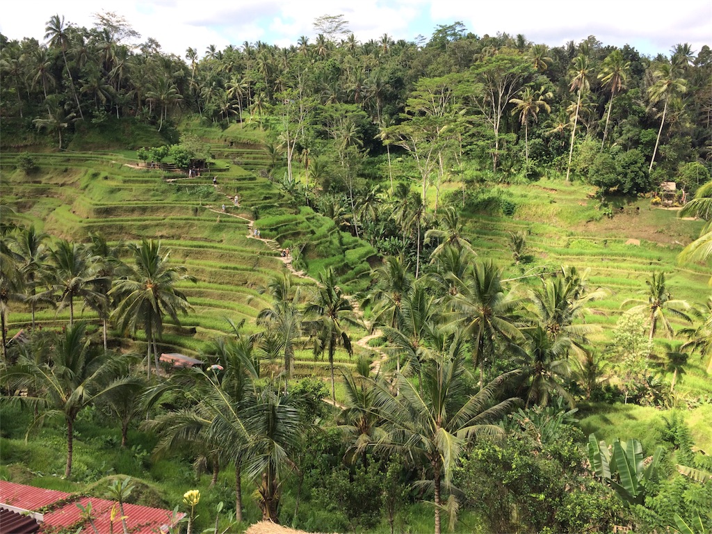 f:id:chuckii201:20170702223256j:image