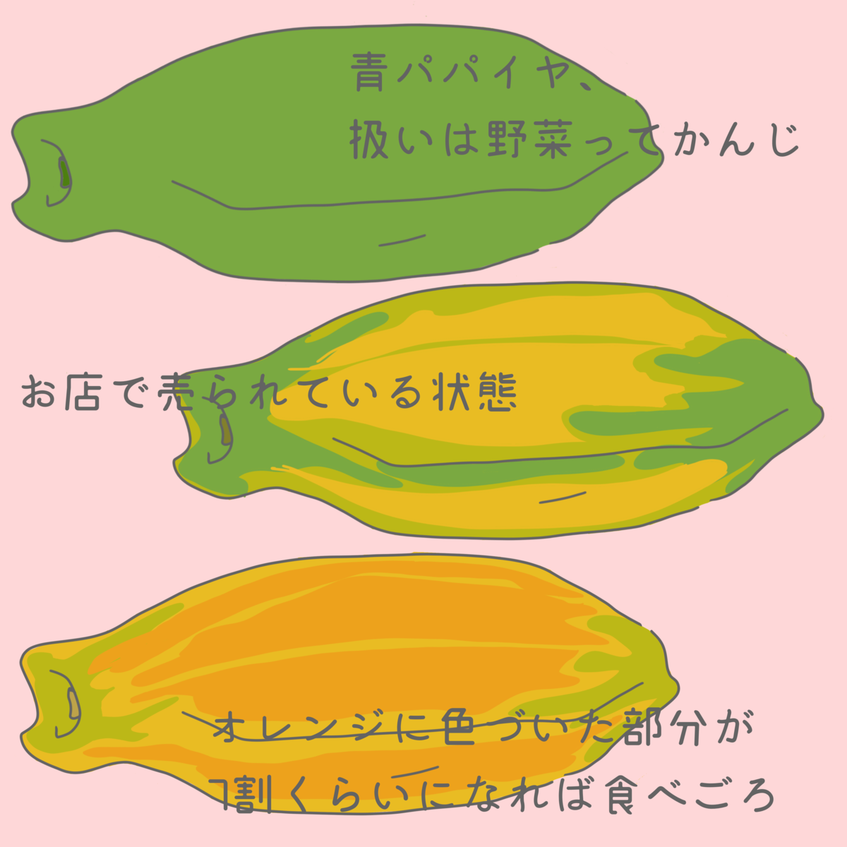 台湾に来たらパパイヤを食べて欲しい 慢慢らいふ