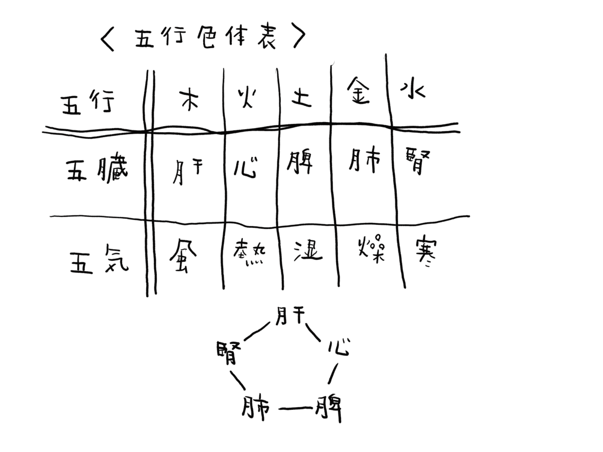 中医学入門㊲ 弁証論治について~その4 四診 - ゆるり中医学~国際中医師が綴る生活に中医学を~