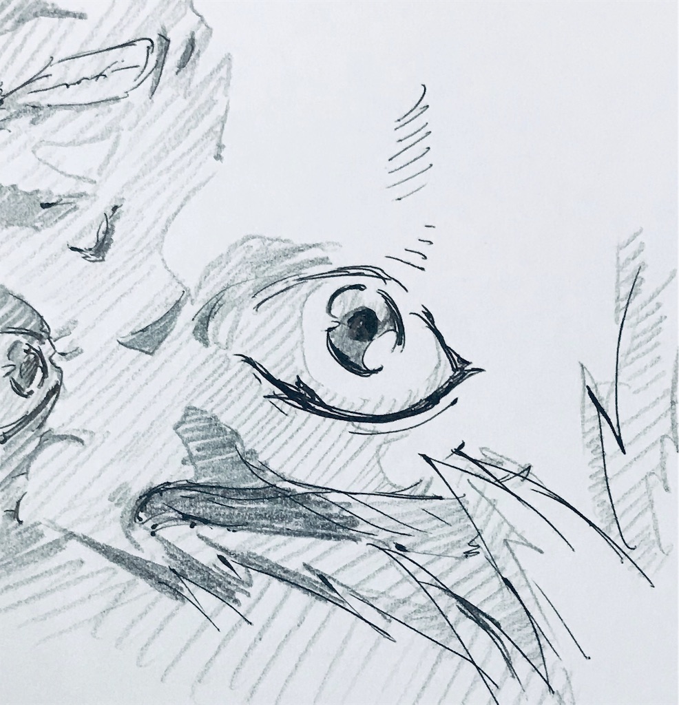 f:id:chukannsyoku:20190810012933j:image