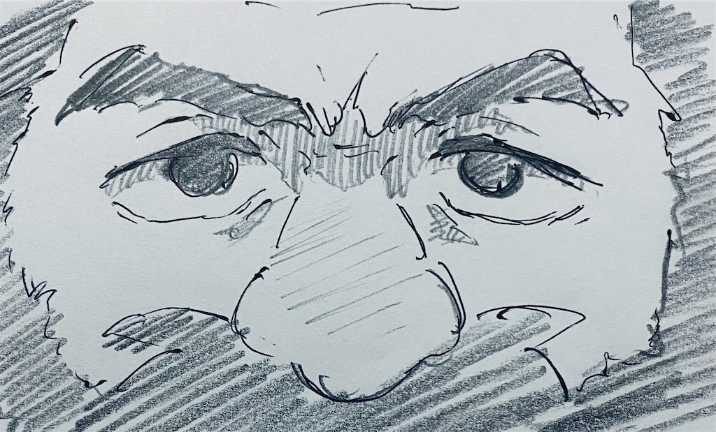 f:id:chukannsyoku:20240613160943j:image