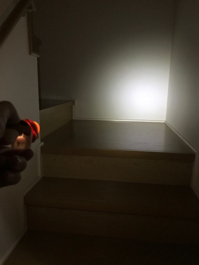 f:id:chukemaru:20180122214429j:plain f:id:chukemaru:20180122214429j:plain