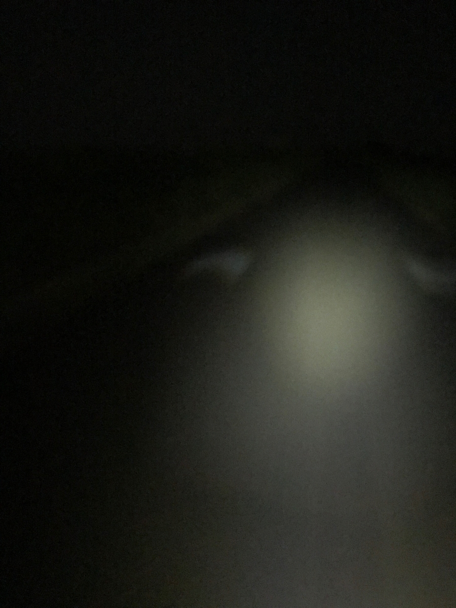 f:id:chukemaru:20190825095013j:plain f:id:chukemaru:20190825095013j:plain